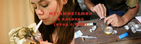 сатива Бронницы