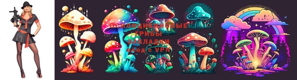 трава Бугульма