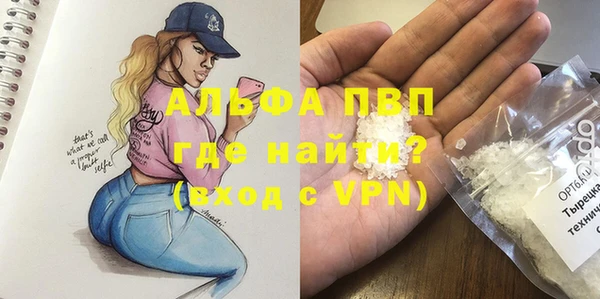 сатива Бронницы